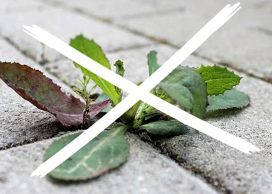 Škárovací profil "T" pod dlažbu | Špárfix | krížový profil | špára 3 mm