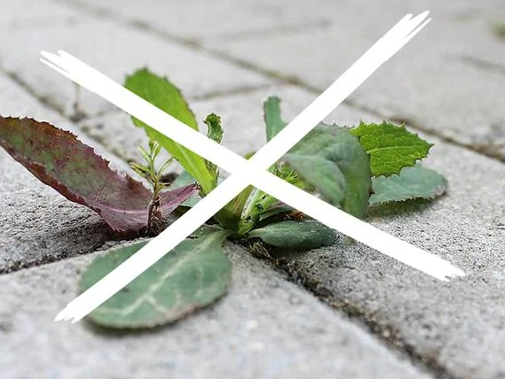 Škárovací profil  "T" POD DLAŽBU | Špárfix | špára 3 mm